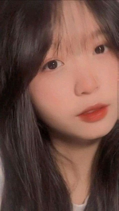 肉體的高速公路