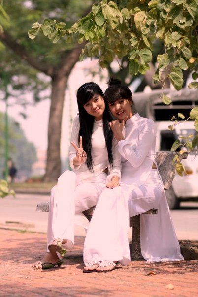 美麗的小蜜蜂2